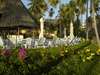 Ocean Paradise Resort - Garden 